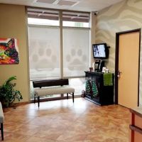 LifeCare Animal Hospital ico
