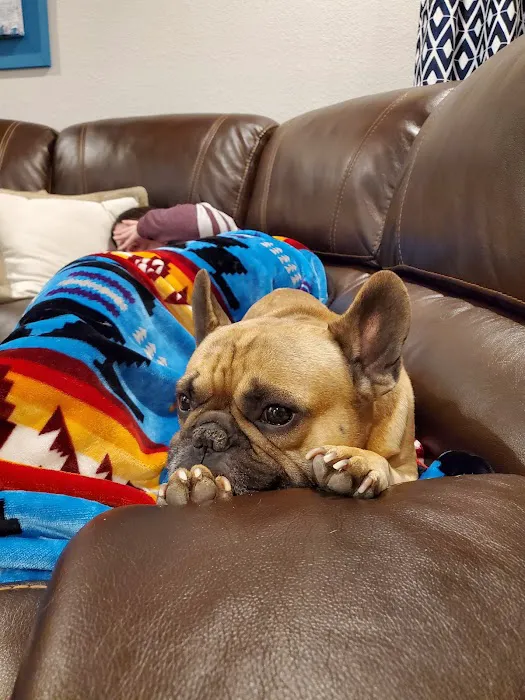 Augusta Ranch Animal Hospital 4
