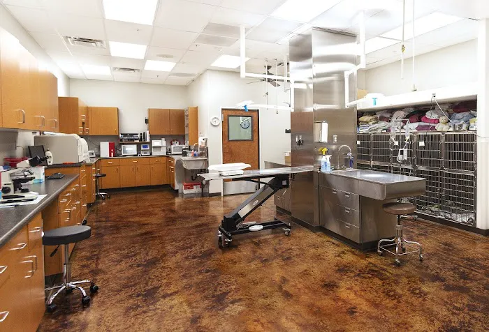 Augusta Ranch Animal Hospital 6