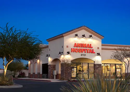 Augusta Ranch Animal Hospital 1