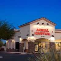 Augusta Ranch Animal Hospital ico