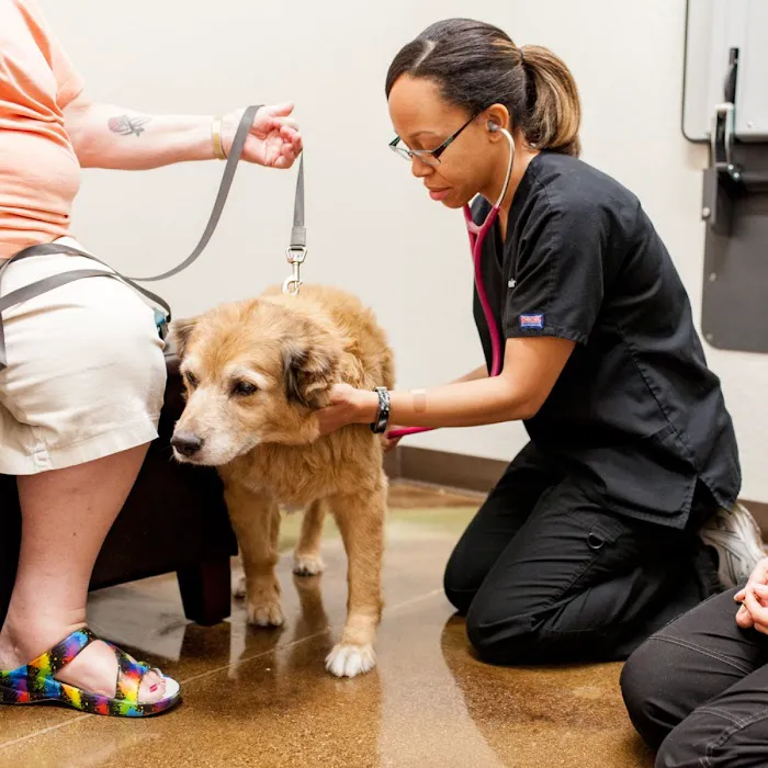 Augusta Ranch Animal Hospital 7