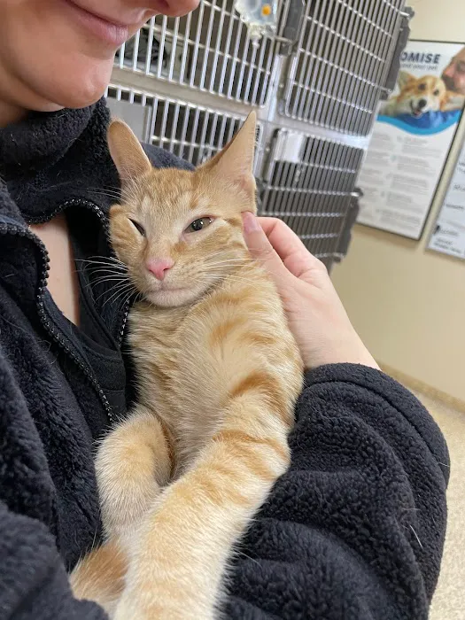 Arizona Spay & Neuter Clinic - Mesa (formerly Agape Animal Clinic) 8