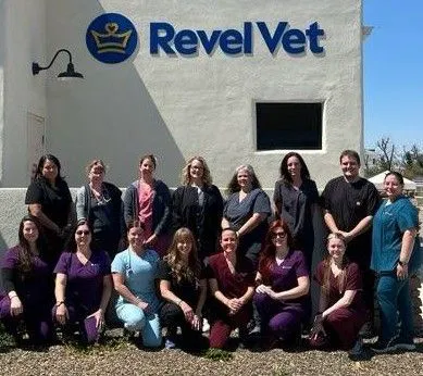 Revel Vet 1
