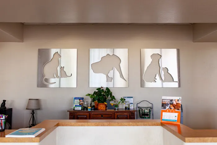 Chandler Gilbert Animal Hospital 3