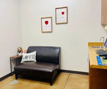 Chandler Gilbert Animal Hospital