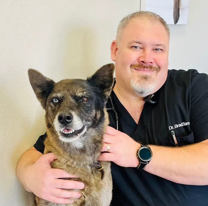 Chandler Gilbert Animal Hospital 6