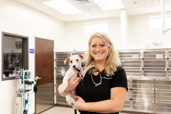 Power Road Animal Hospital 6