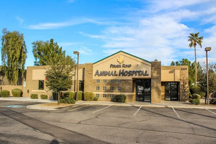 Power Road Animal Hospital 1