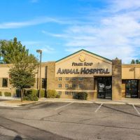 Power Road Animal Hospital ico
