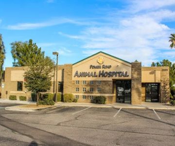 Power Road Animal Hospital
