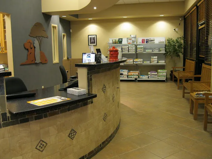 Ironwood Animal Hospital, A Thrive Pet Healthcare Partner 5