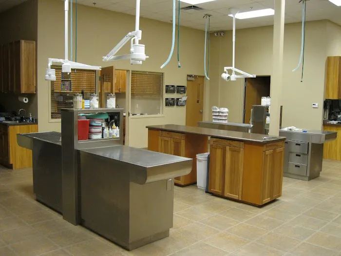 Ironwood Animal Hospital, A Thrive Pet Healthcare Partner 6