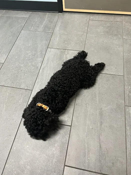 Banfield Pet Hospital 8