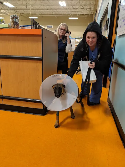 Banfield Pet Hospital 4
