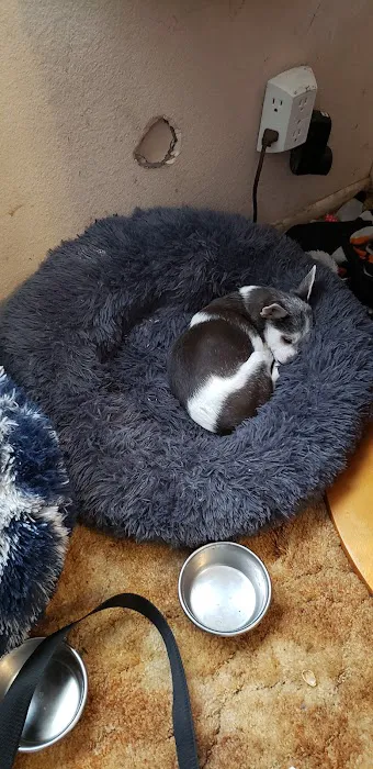 Banfield Pet Hospital 5