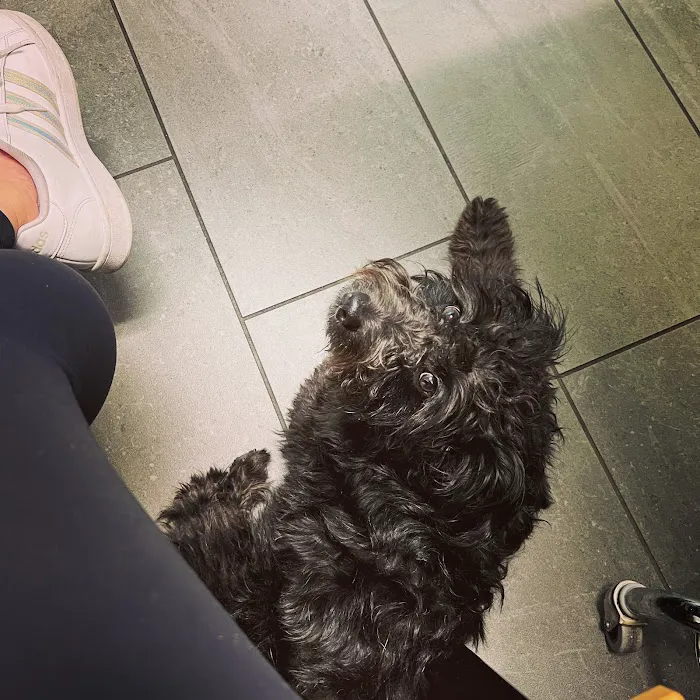 Banfield Pet Hospital 6