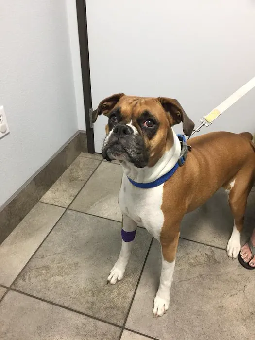 Johnson Ranch Animal Clinic 5