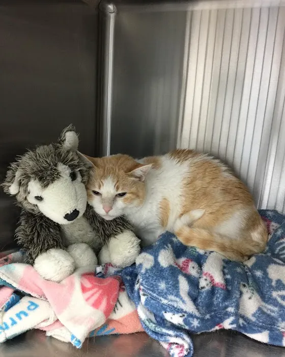 Johnson Ranch Animal Clinic 7