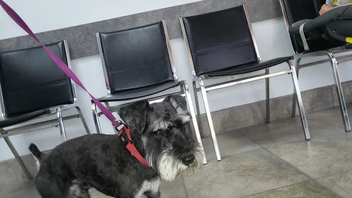 Johnson Ranch Animal Clinic 6