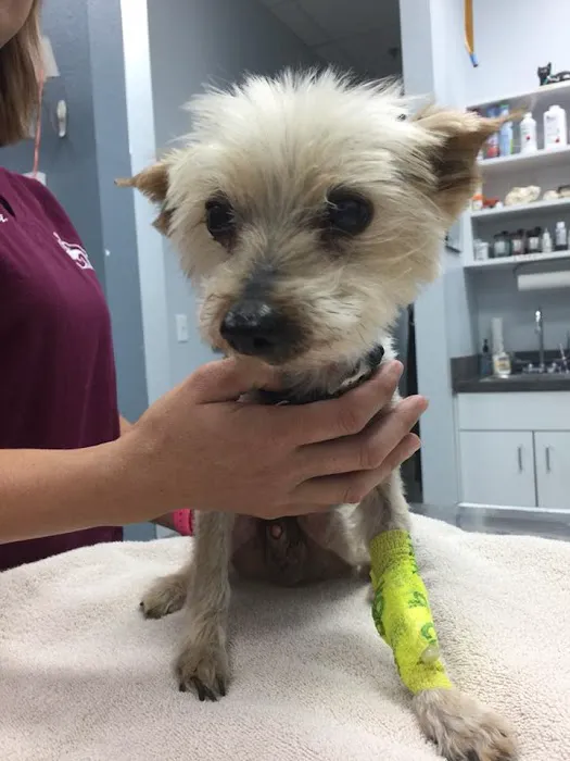 Johnson Ranch Animal Clinic 8