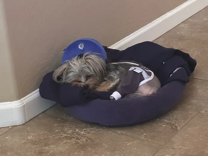 Apache Veterinary Clinic 1