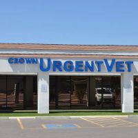 Crown UrgentVet ico