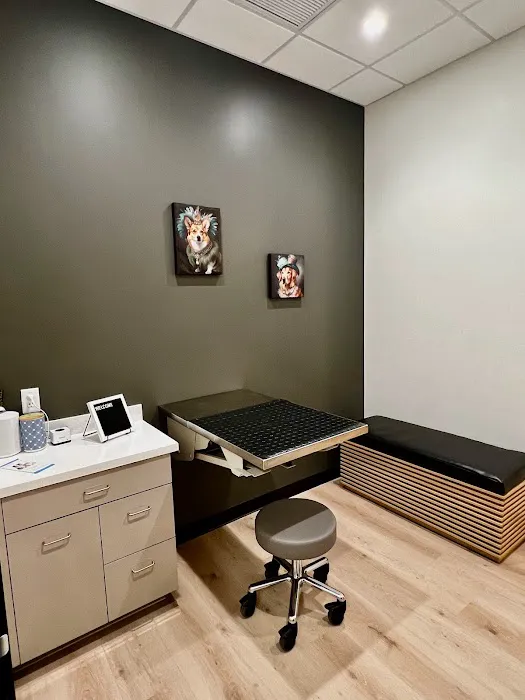 LUXE.VET 6