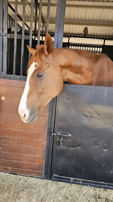 Southwest Equine Veterinary Clinic 3