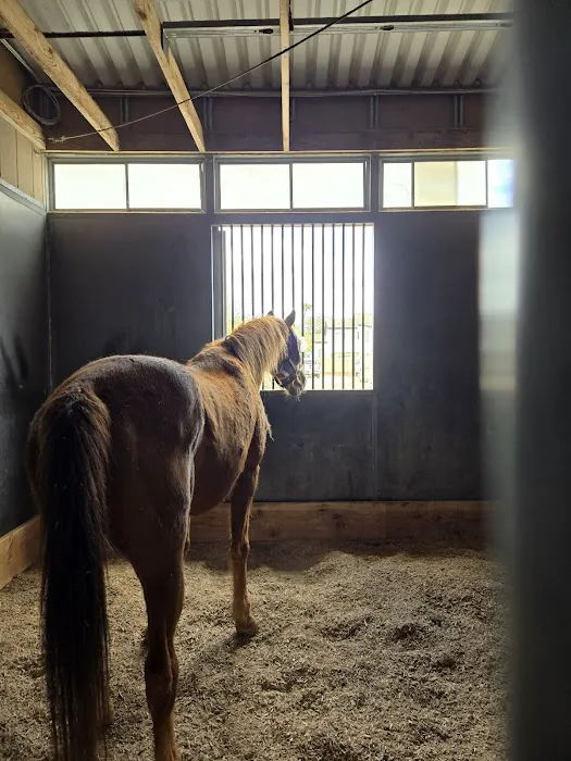 Southwest Equine Veterinary Clinic 1