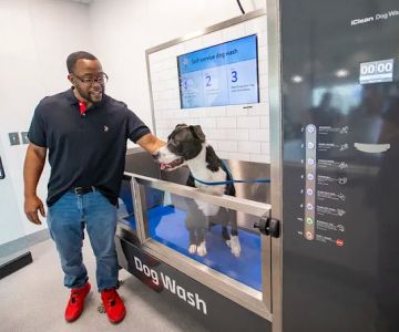 Walmart Pet Services