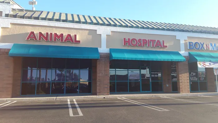 Superstition Animal Hospital 7