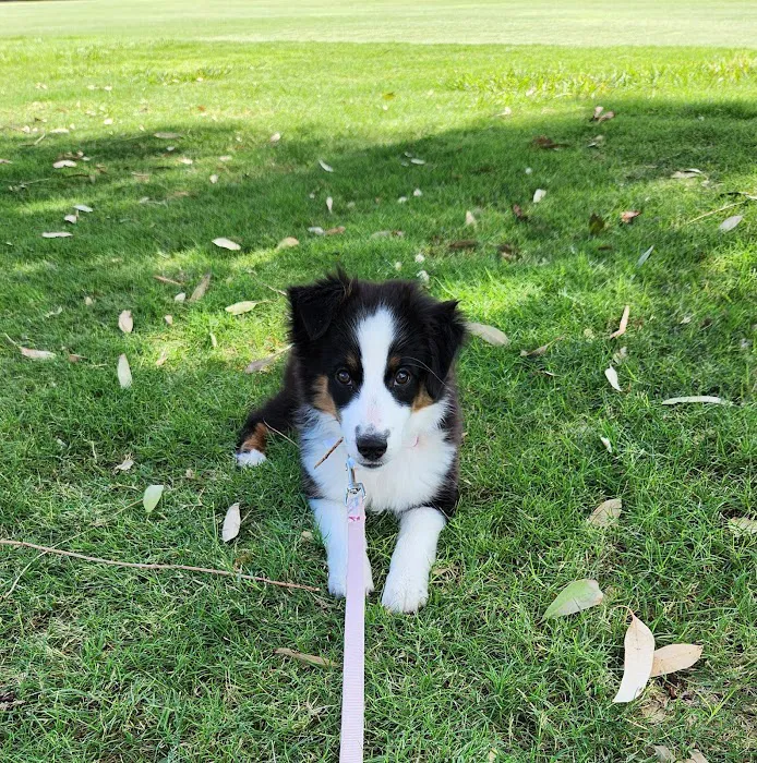 Banfield Pet Hospital 9