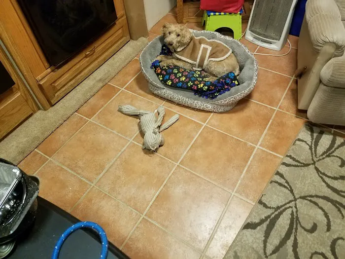 Banfield Pet Hospital 2
