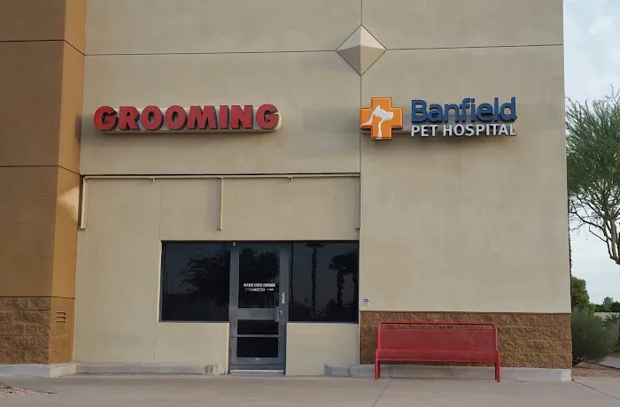 Banfield Pet Hospital 4
