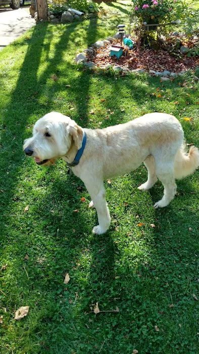 Banfield Pet Hospital 1