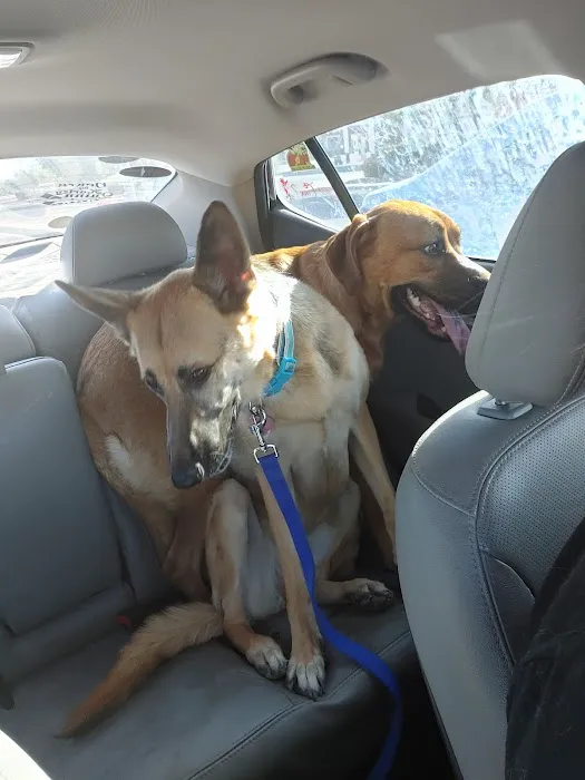 Banfield Pet Hospital 3