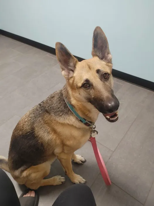 Banfield Pet Hospital 5