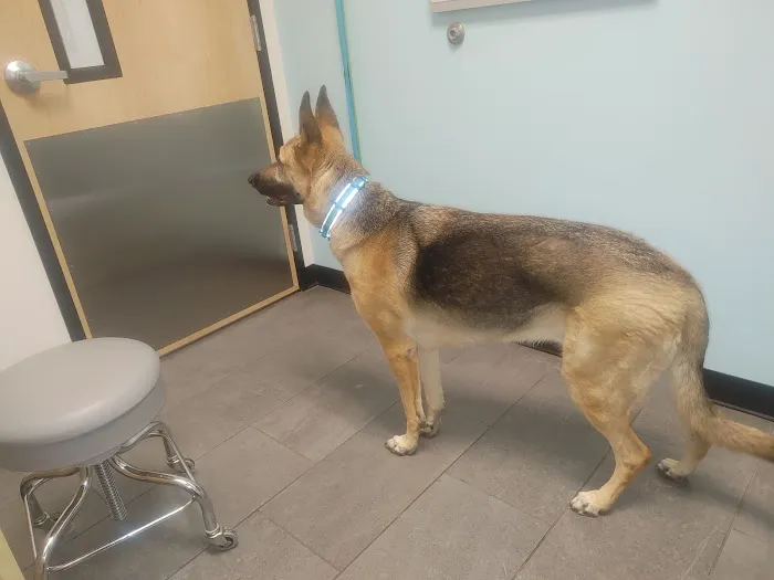 Banfield Pet Hospital 2