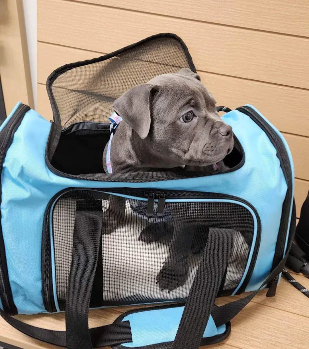 Banfield Pet Hospital 9
