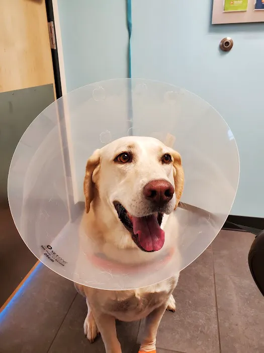 Banfield Pet Hospital 6