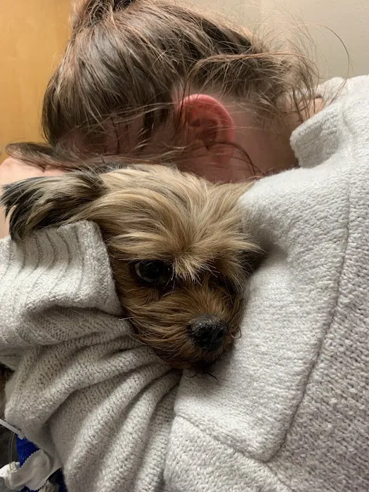 Las Sendas Animal Hospital & Grooming 8