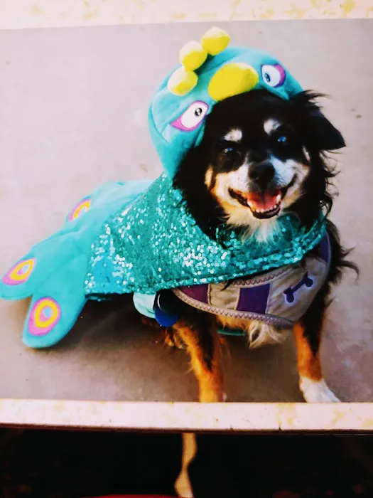 Banfield Pet Hospital 9