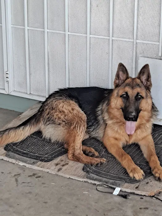 Santis Pet Clinic 7