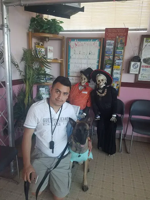 Santis Pet Clinic 6