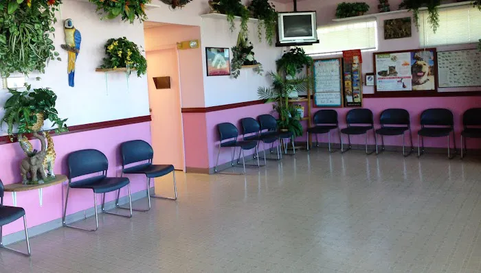 Santis Pet Clinic 2