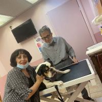 Santis Pet Clinic ico