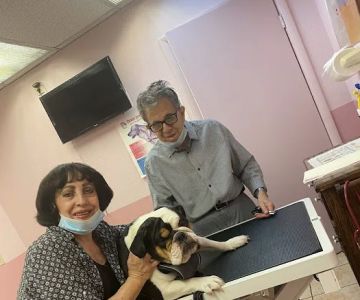 Santis Pet Clinic