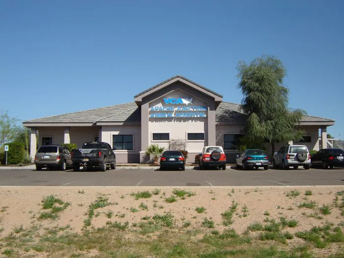 VCA Apache Junction Animal Hospital 8