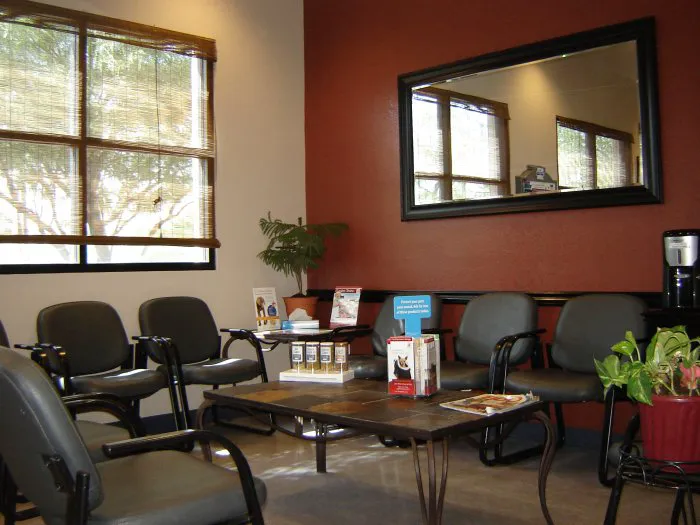VCA Apache Junction Animal Hospital 4